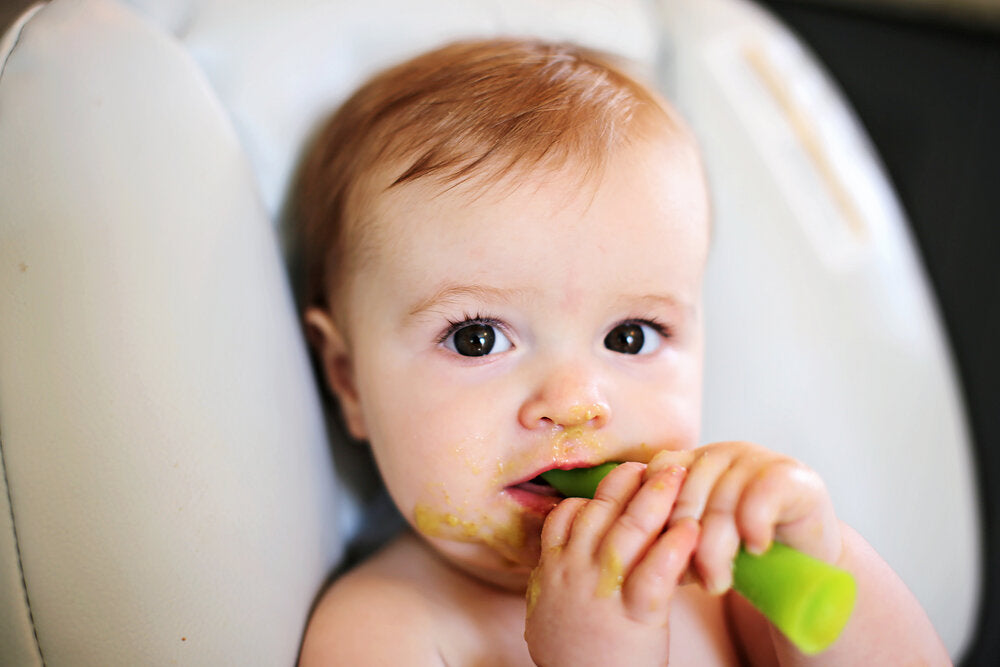 5 Top Tips on teaching your Baby How to Chew!