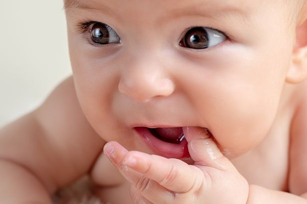 Teaching your baby to chew (using teether tubes!)